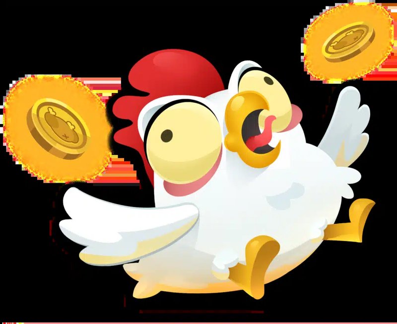 A look at chicken road game
