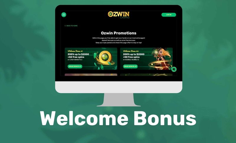 What you’ll get after the login, ozwin What you’ll get after the login, ozwin