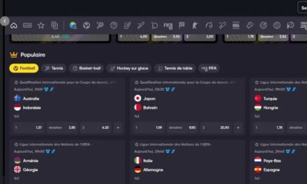 Découvrez les Meilleurs Casinos Instantanés en Ligne pour les Francophones